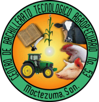 Aula Virtual CBTa 53 - Moctezuma